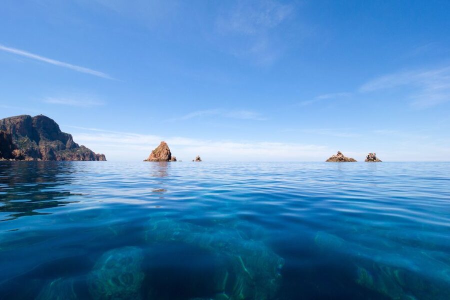 From Porto: Boat tour to the Calanches of Piana & Capo Rosso - Should you book the Nave Va boat tour?