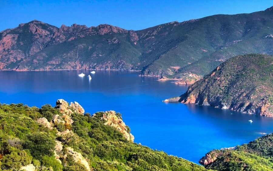 From Porto: Piana Creeks and Scandola Semi-Rigid Boat Tour - Piana Creeks from the water