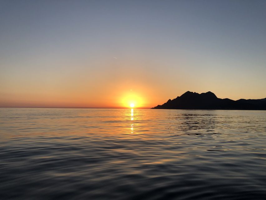 From Porto: Piana Creeks and Scandola Semi-Rigid Boat Tour - A guide can make or break the ride
