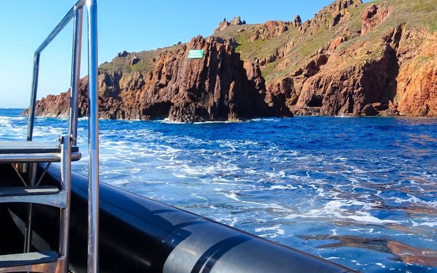 From Porto: Piana Creeks and Scandola Semi-Rigid Boat Tour - What the $94 price includes