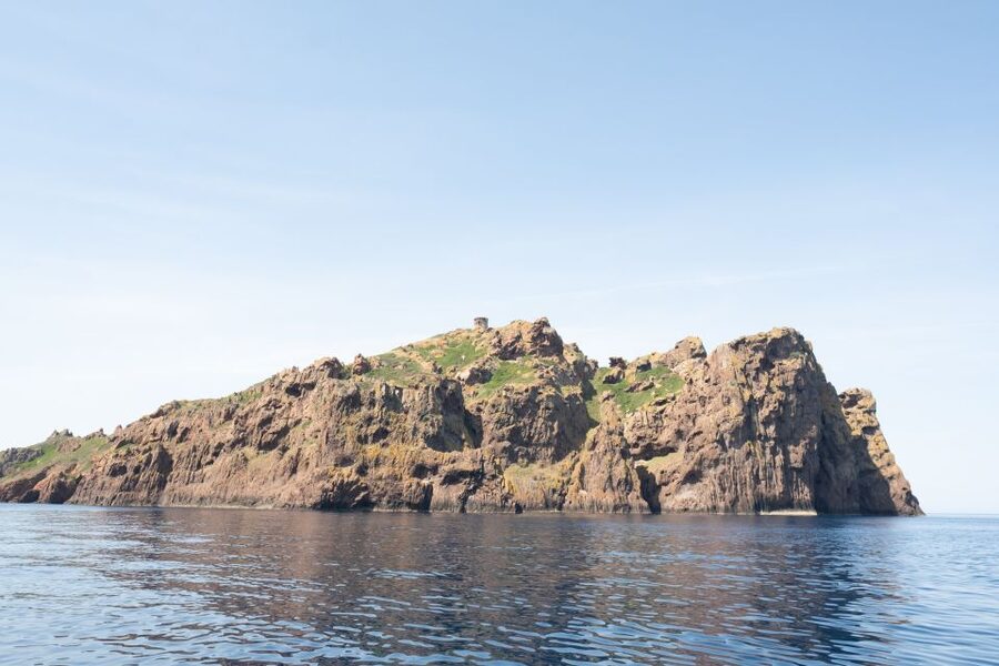 From Porto: Piana Creeks and Scandola Semi-Rigid Boat Tour - Should you book the Piana and Scandola tour?