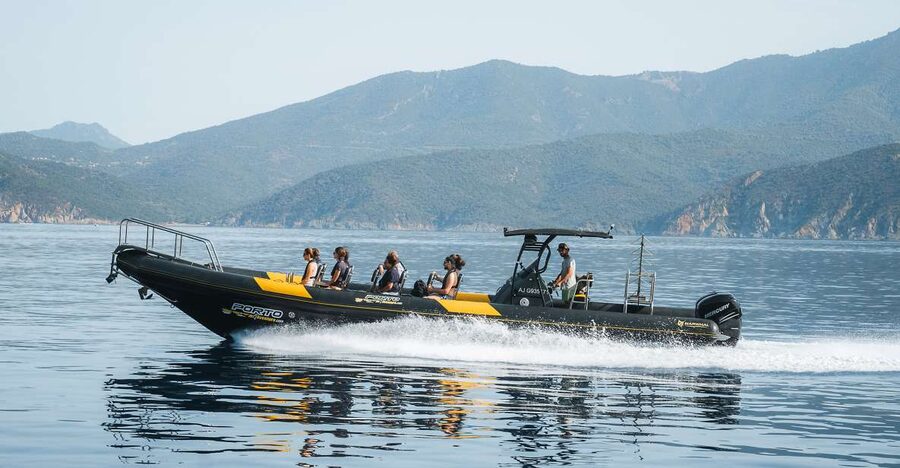 From Porto: Piana Creeks and Scandola Semi-Rigid Boat Tour - Scandola Nature Reserve and the Gulf of Porto