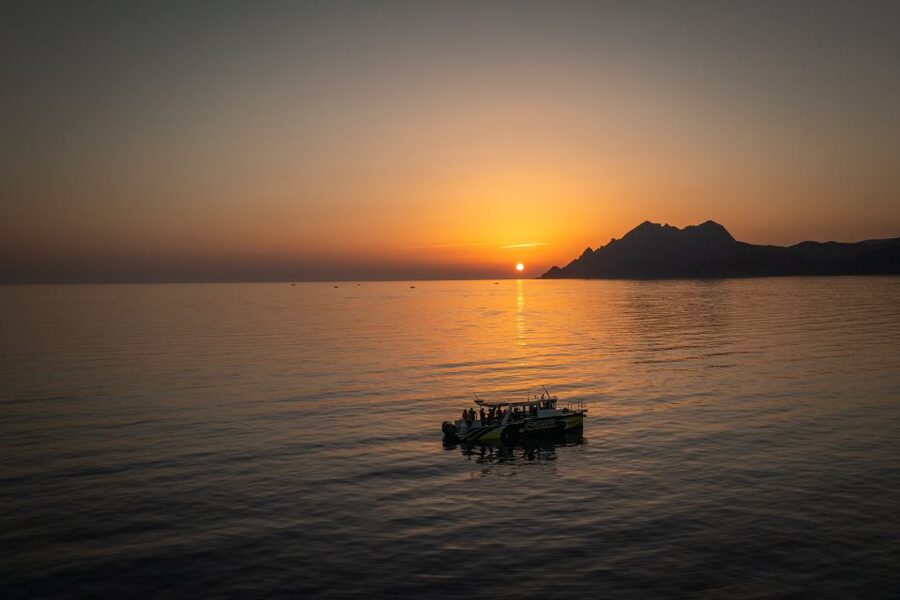 From Porto: Piana Creeks, Scandola on Family Boat - Key points to know before you book