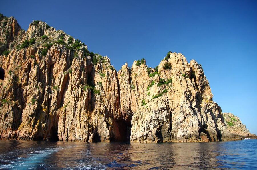 From Porto: Piana Creeks, Scandola on Family Boat - Small details that make the booking easier
