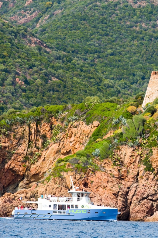 From Porto: Scandola & Girolata Tour by Boat - Should you book this Scandola and Girolata trip?