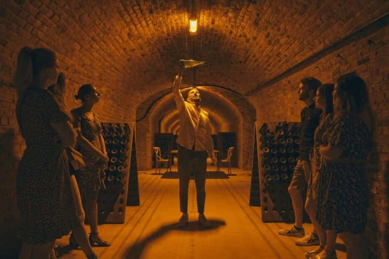 From Reims: Champagne Afternoon E-Bike Tour - What the family winery adds
