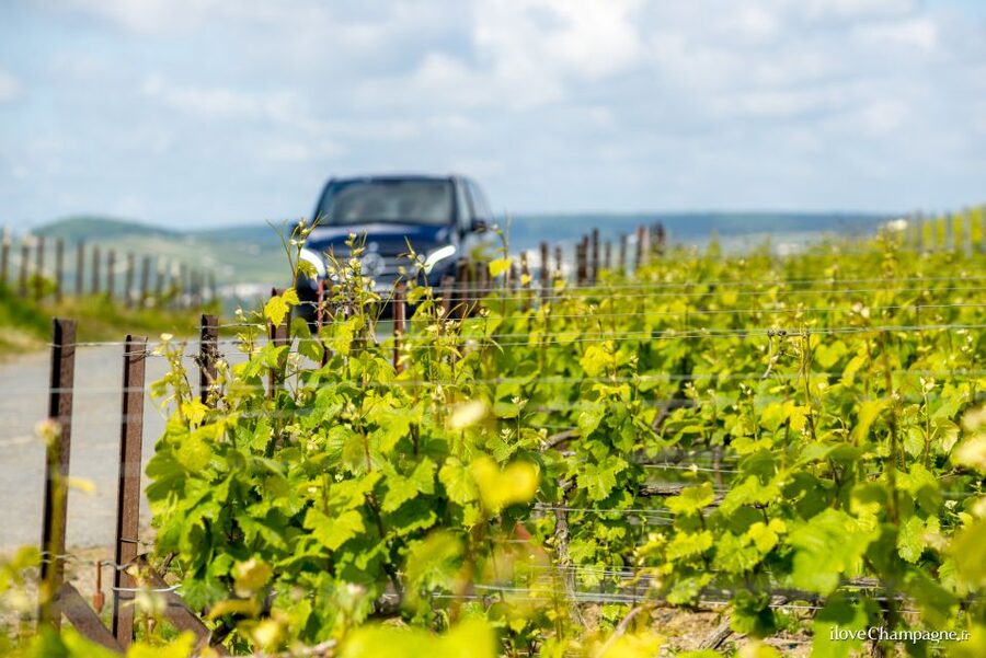 From Reims: Champagne and Family-Run Wineries Tour - Why this Reims Champagne tour works so well