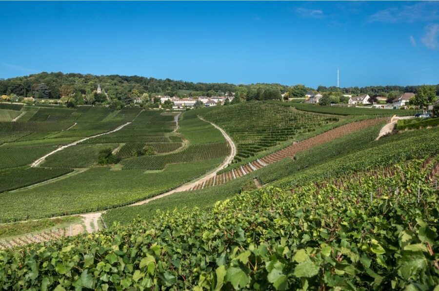 From Reims: Champagne Day Trip to 3 Family Domains & Lunch - Hautvillers and the Dom Pérignon story