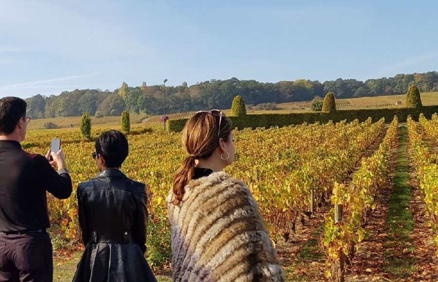 From Reims: Champagne Day Trip to 3 Family Domains & Lunch - Épernay’s grand names and underground cellars