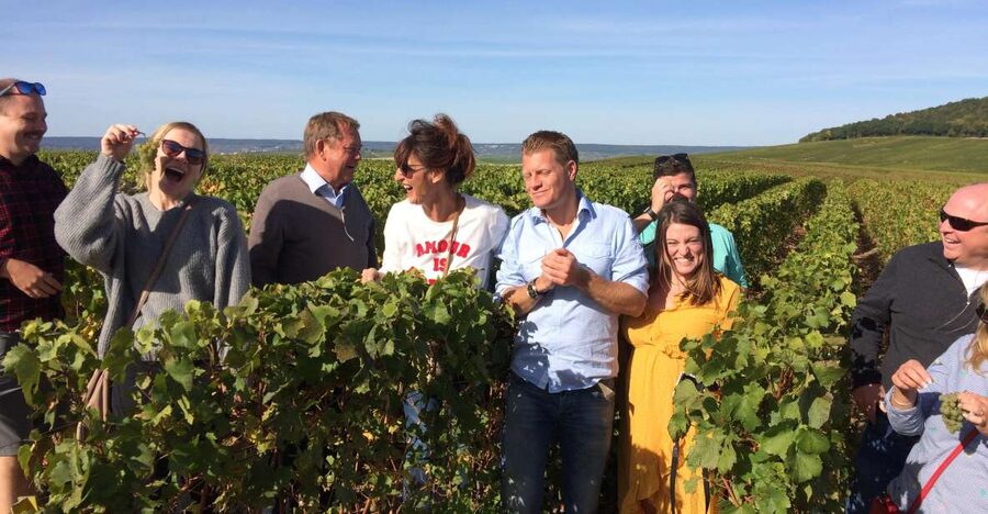 From Reims/Epernay: Champagne half-day tour (small group) - The vineyard lesson: soil, pruning, and hand harvest