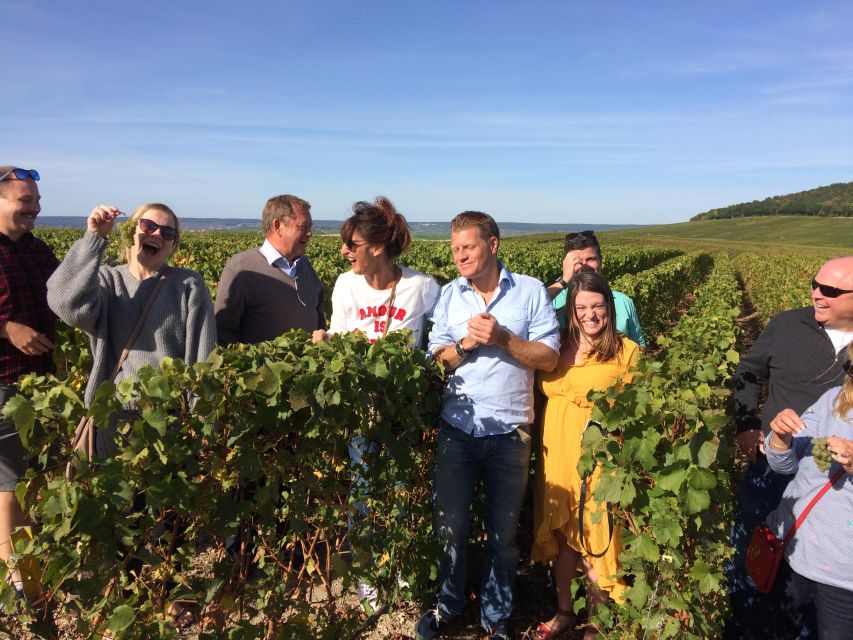 From Reims/Epernay: Champagne half-day tour (small group) - Four hours from Reims or Epernay