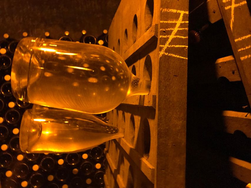 From Reims/Epernay: Champagne half-day tour (small group) - Who should book this Champagne tour?