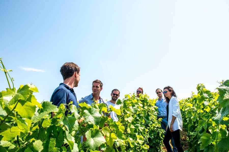 From Reims: Morning Champagne Tour and Tastings - Six glasses, no lunch, and the real value