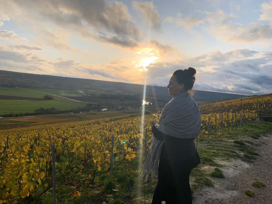 From Reims: Morning Champagne Tour and Tastings - The first estate: from grape pressing to cellar aging