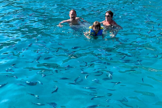 From Sagone/Cargèse: Scandola Girolata Calanques Piana Snorkeling - What the boat ride is really like