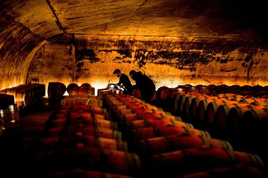 From Saint-Emilion : Half Day Electric Bike Tour - A family-run estate and the first tasting