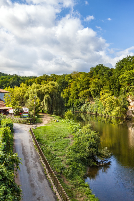 From Sarlat: Half-Day Skip-the-Line Lascaux IV Tour - Who will enjoy this four-hour outing