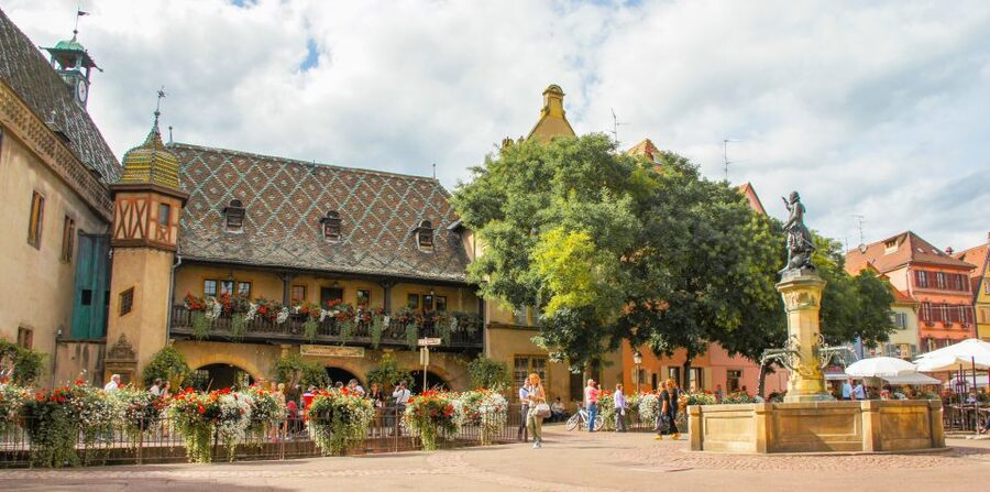 From Strasbourg: Best Of Alsace Historical Day Trip - Who gets the most from this experience