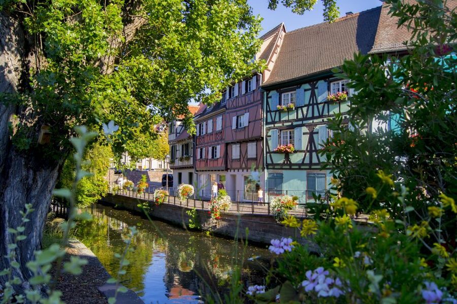 From Strasbourg: Best Of Alsace Historical Day Trip - The bus ride and the French-speaking guide