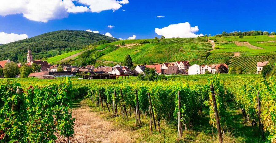 From Strasbourg: Half-Day Tour of Alsace Villages - Why this half-day tour works from Strasbourg