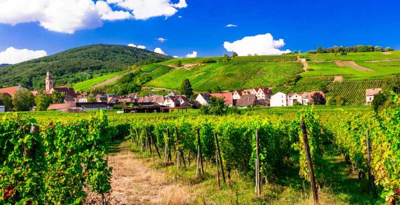 From Strasbourg: Half-Day Tour of Alsace Villages - Mittelbergheim: a compact village of winemakers