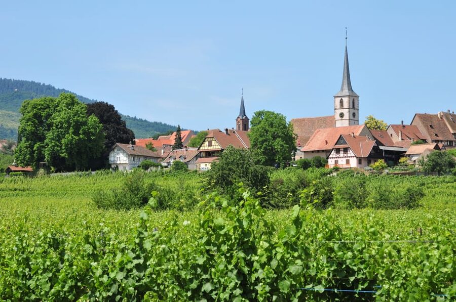 From Strasbourg: Half-Day Tour of Alsace Villages - Andlau: the tour’s strongest history stop