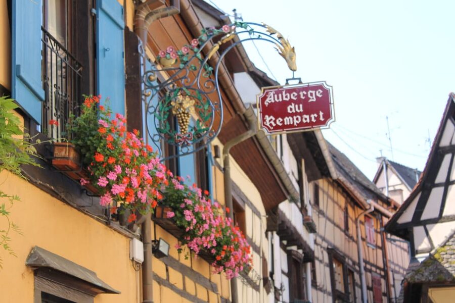 From Strasbourg: Half-Day Tour of Alsace Villages - What the guide adds to the route