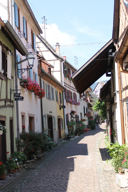 From Strasbourg: Half-Day Tour of Alsace Villages - Who should book this Alsace outing?