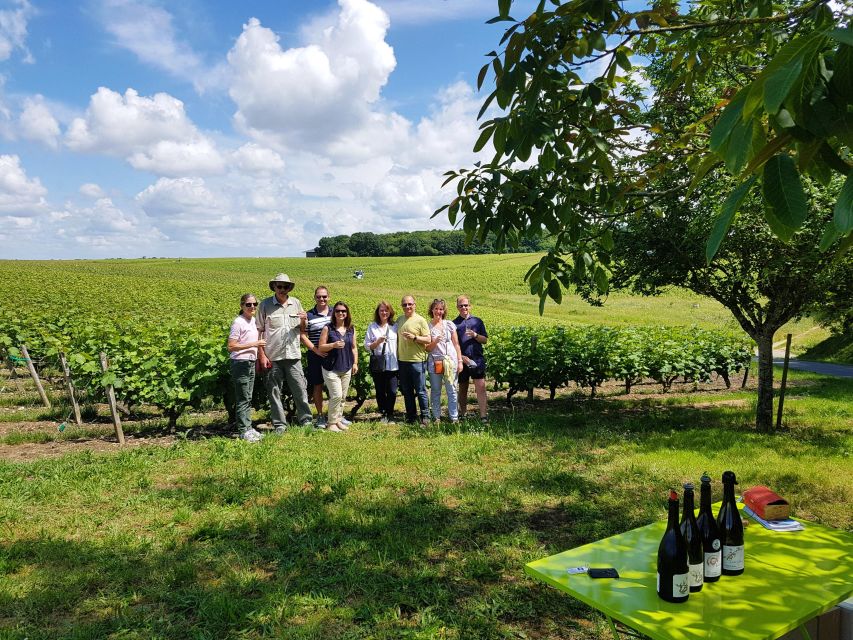 From Tours: Afternoon Loire Valley Wine Tour - Key points to know before booking