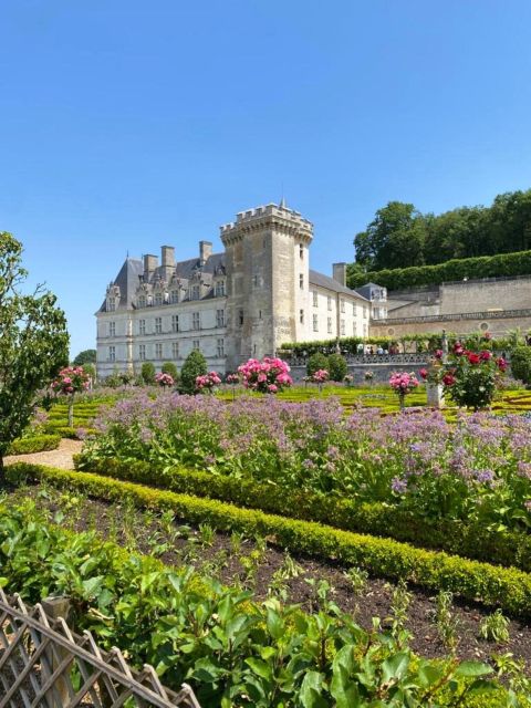 From Tours: Afternoon Loire Valley Wine Tour - Learning to taste instead of simply sipping