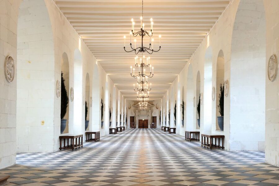 From Tours: Chenonceau and Chambord Castles Guided Tour - Who will enjoy this tour most?