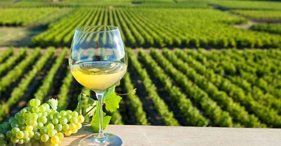 From Tours: Loire Valley Wineries Day Trip with Tastings - FAQ