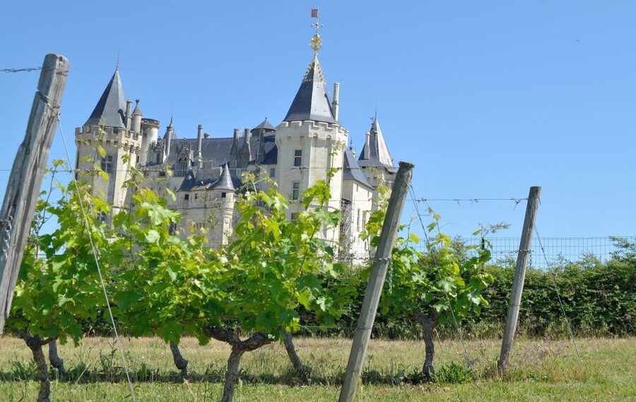 From Tours: Loire Valley Wineries Day Trip with Tastings - The first winery, from grape to bottle