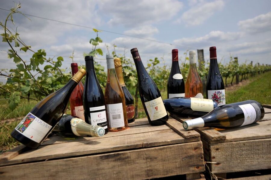 From Tours: Loire Valley Wineries Day Trip with Tastings - What the drive adds to the day