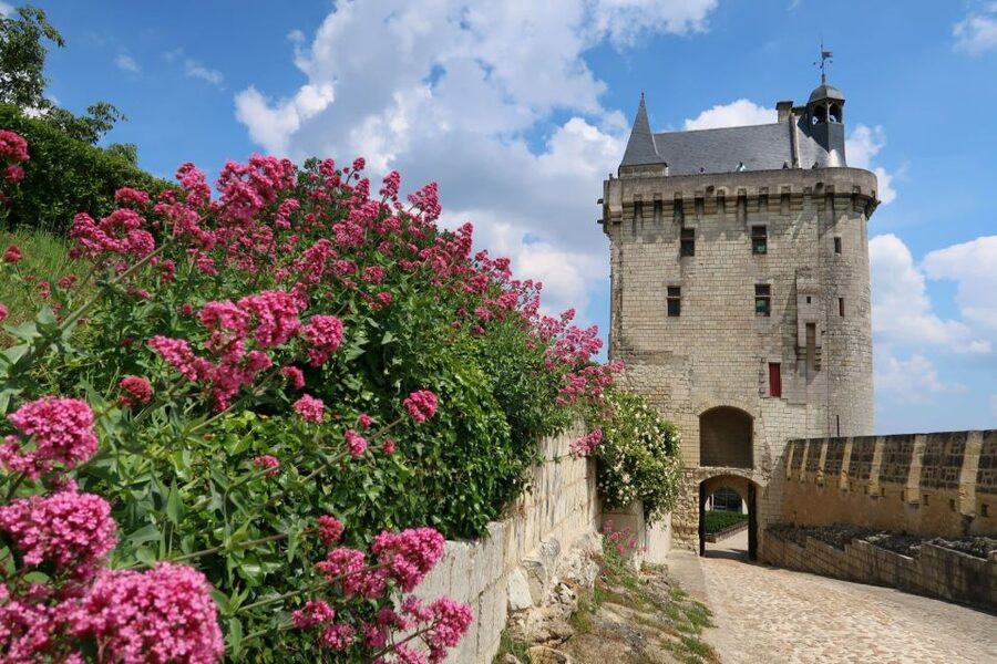 From Tours: Loire Valley Wineries Day Trip with Tastings - Who should book this experience?