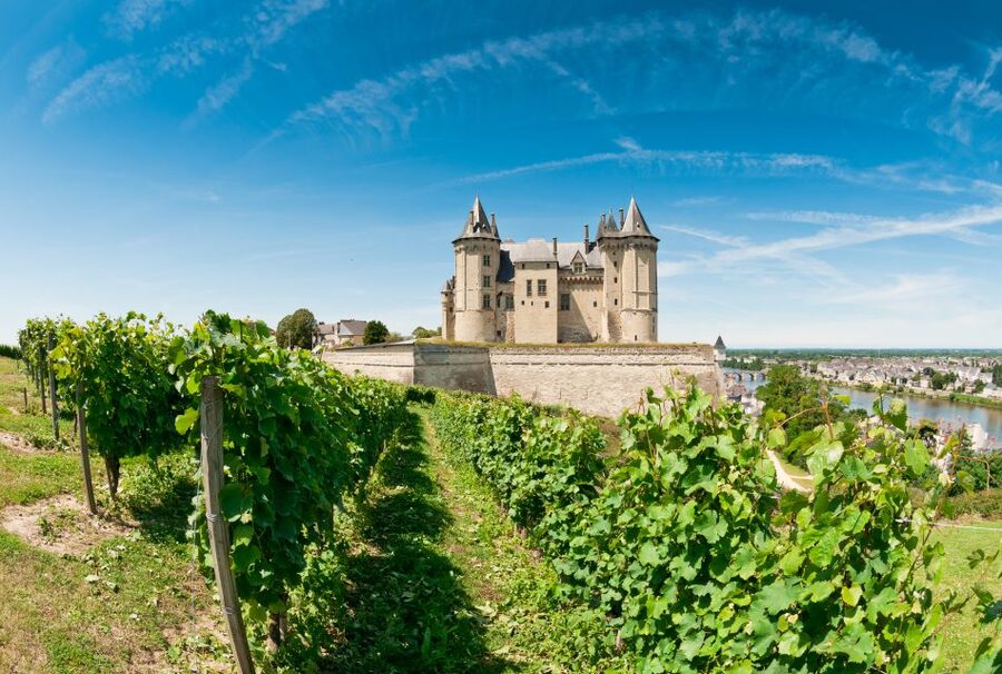 From Tours: Loire Valley Wineries Day Trip with Tastings - Should you book the Loire Valley wineries day trip?