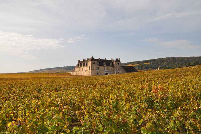 Full Day Private Tour 10 Premiers & Grands Crus, The Best of Burgundy - Cellars, barrels, and older vintages
