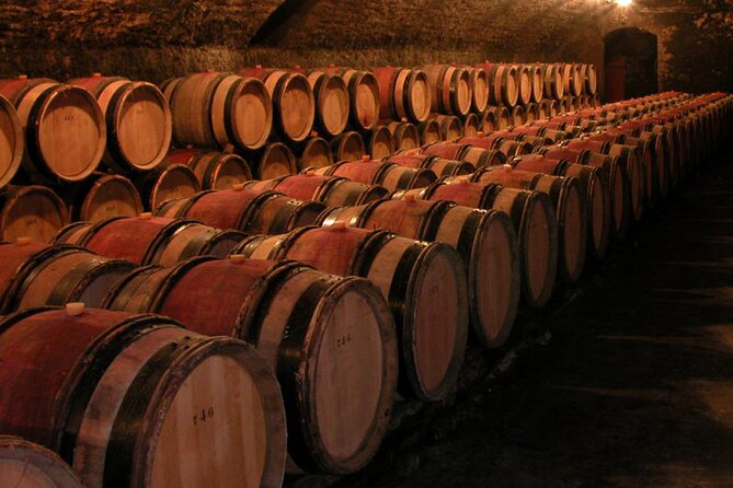 Full Day Private Tour 10 Premiers & Grands Crus, The Best of Burgundy - A private vaulted cellar finale