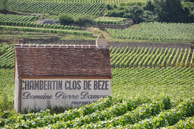 Full-Day Private Tour, 6 Premiers & Grands Crus, The Best of Burgundy - Inside the estate cellar