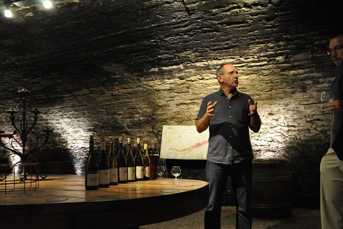 Full-Day Private Tour, 6 Premiers & Grands Crus, The Best of Burgundy - Timing, transport, and practical matters