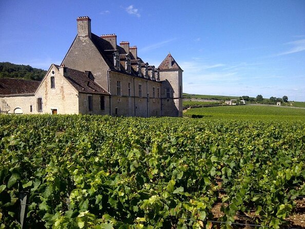 Full-Day Private Tour, 6 Premiers & Grands Crus, The Best of Burgundy - The first tasting in the Côte de Beaune