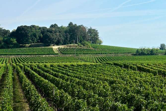 Full-day Saint-Emilion: Village, Undergrounds and Châteaux - The bilingual format can shape your whole day