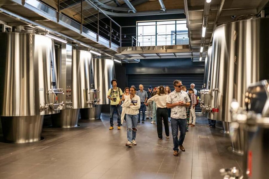 Full-day Saint-Emilion: Village, Undergrounds and Châteaux - Who will enjoy this day most