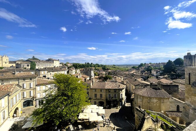 Full Day Tour Saint Emilion with lunch two Chateaux and Village - What the guides add to the day