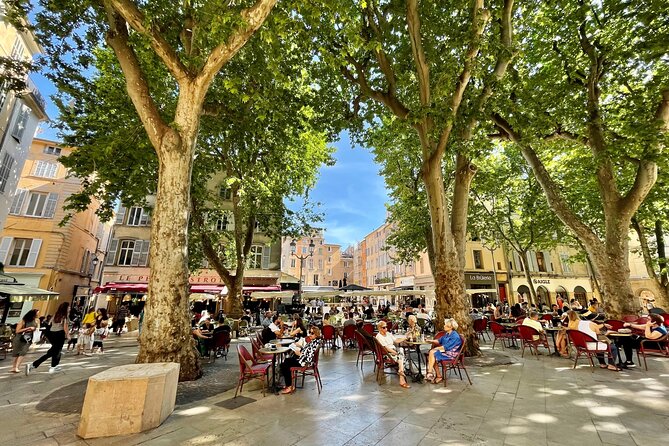 Full-Day Wine and Cheese Tour around Aix-en-Provence from Marseille - The afternoon winery visit