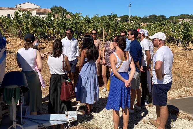Full-Day Wine and Cheese Tour around Aix-en-Provence from Marseille - What the guide adds to the day