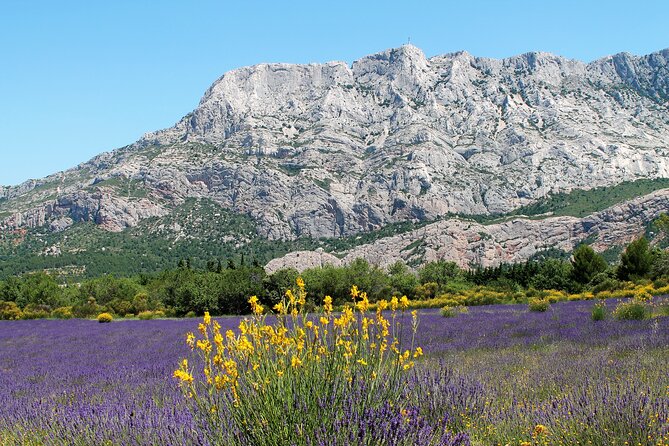 Full-Day Wine and Cheese Tour around Aix-en-Provence from Marseille - Aix-en-Provence for lunch and free time