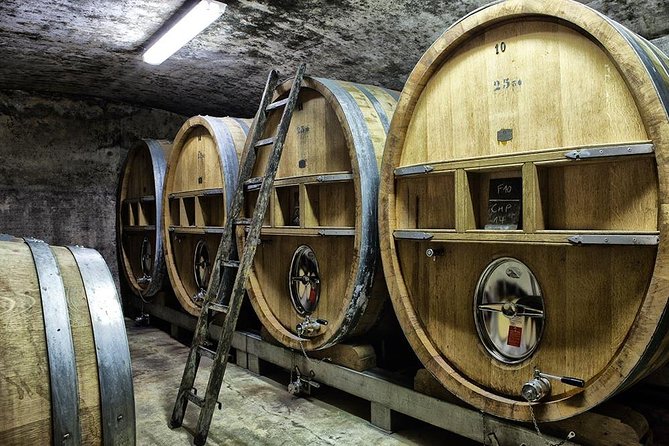 Full-day Wine Tour around Bandol & Cassis from Marseille - Why Bandol and Cassis make a good wine day