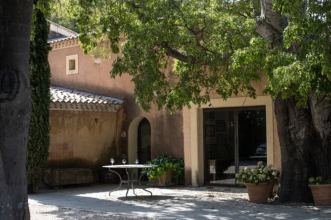 Full-day Wine Tour around Bandol & Cassis from Marseille - An afternoon tasting in Cassis