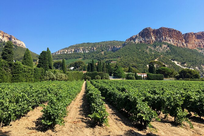 Full-day Wine Tour around Bandol & Cassis from Marseille - Cap Canaille and the final view